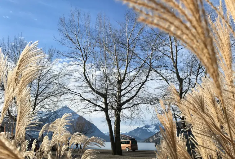 Descubra la fascinación del camping de invierno en la región de vacaciones de Interlaken (Suiza)