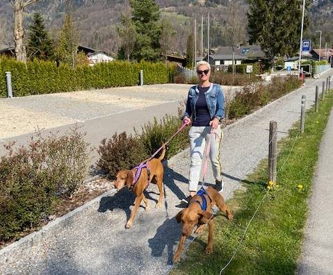 Susanna Zysset from Camping Aaregg in Brienz love to hike with her dog on Axalp, above Lake Brienz
